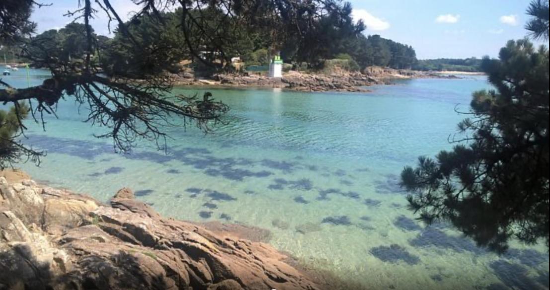 L'Hermine Terrasse Et Parking, 500 Plage Concarneau Esterno foto